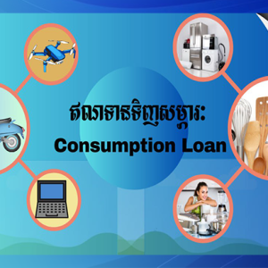 ឥណទានទិញសម្ភារៈ