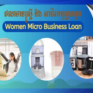 ឥណទានស្រ្ដីនិងអាជីវកម្មខ្នាតតូច